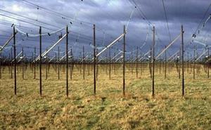 Rows of IPS antennas